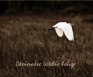 Okefenokee Wildlife Refuge book cover