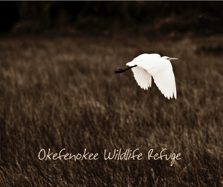 View Okefenokee Wildlife Refuge by Michael Trower-Carlucci