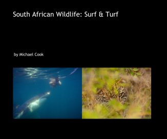 South African Wildlife: Surf & Turf book cover