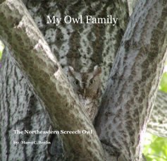 My Owl Family book cover