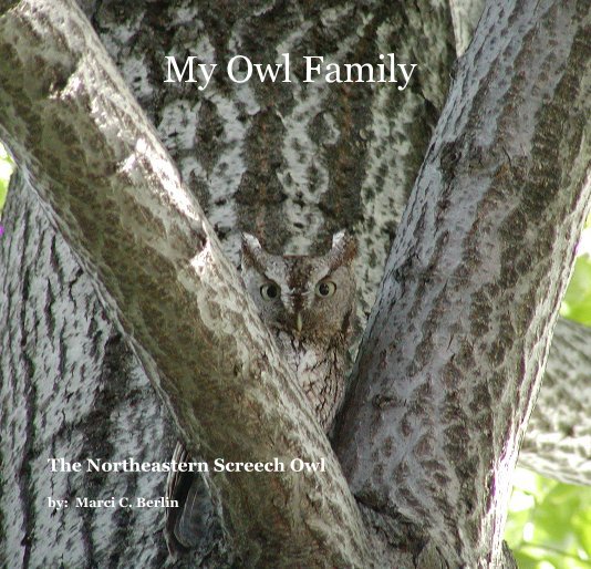 View My Owl Family by Marci C. Berlin