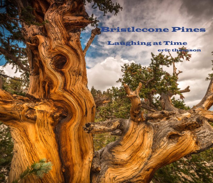 Bristlecone Pines nach Eric Thomson anzeigen