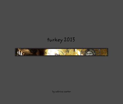 turkey 2013 book cover