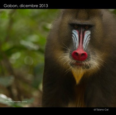 Gabon, dicembre 2013 book cover