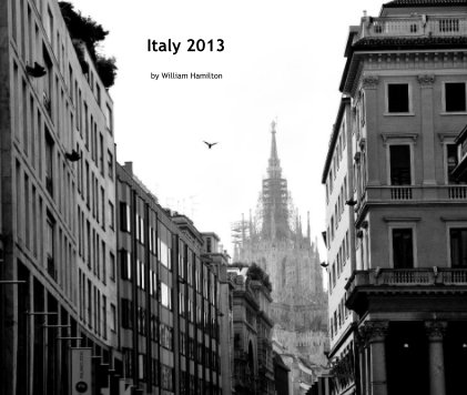 Italy 2013 - 13x11 book cover
