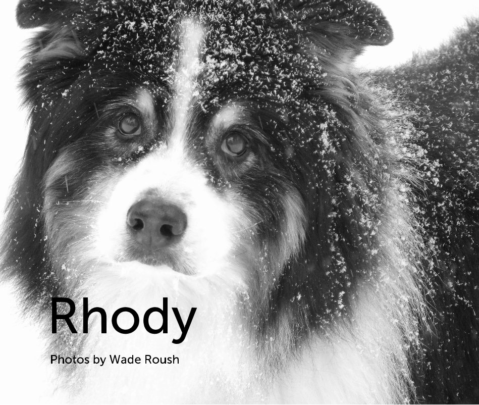 View Rhody by Photos by Wade Roush
