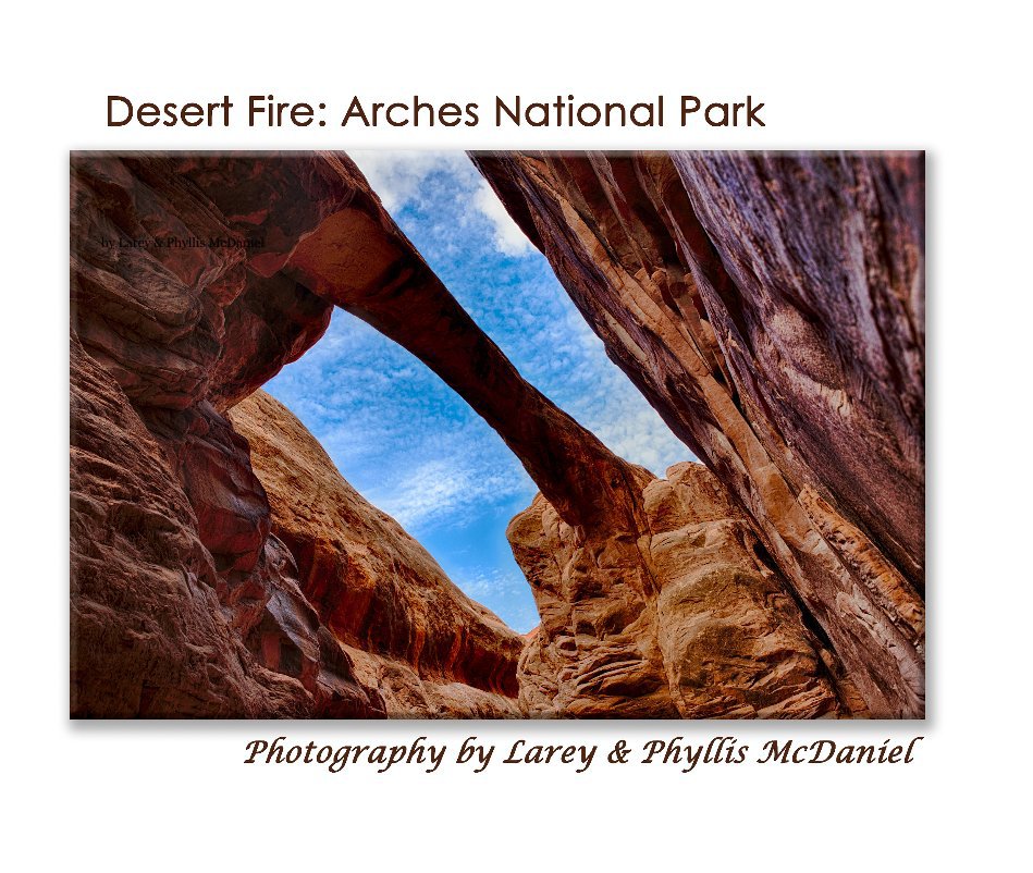 Ver Desert Fire: 11x13 Deluxe Hardcover por Larey & Phyllis McDaniel
