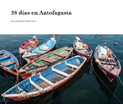 28 días en Antofagasta book cover