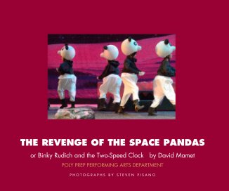 THE REVENGE OF THE SPACE PANDAS book cover