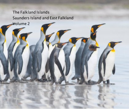 The Falkland Islands Saunders Island and East Falkland Volume 2 book cover