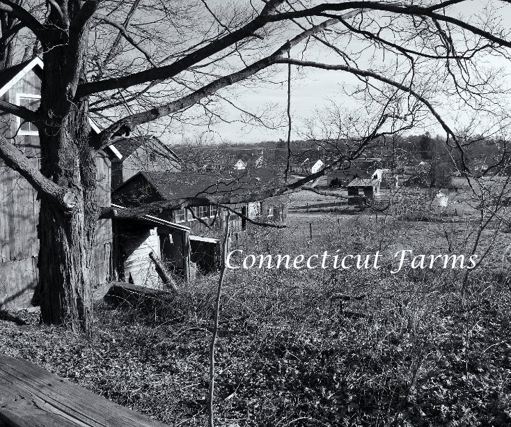 View Connecticut Farms by saxarthur