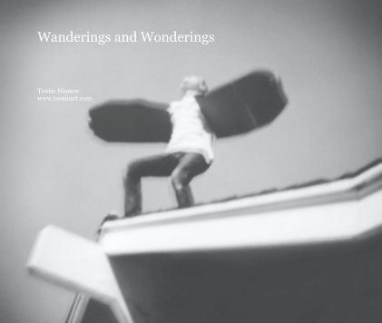 Wanderings and Wonderings book cover