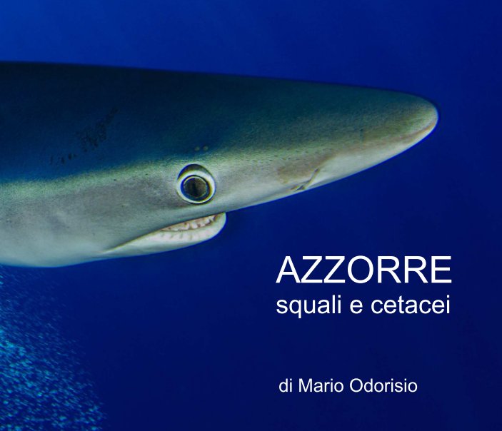 Visualizza AZZORRE di Mario Odorisio