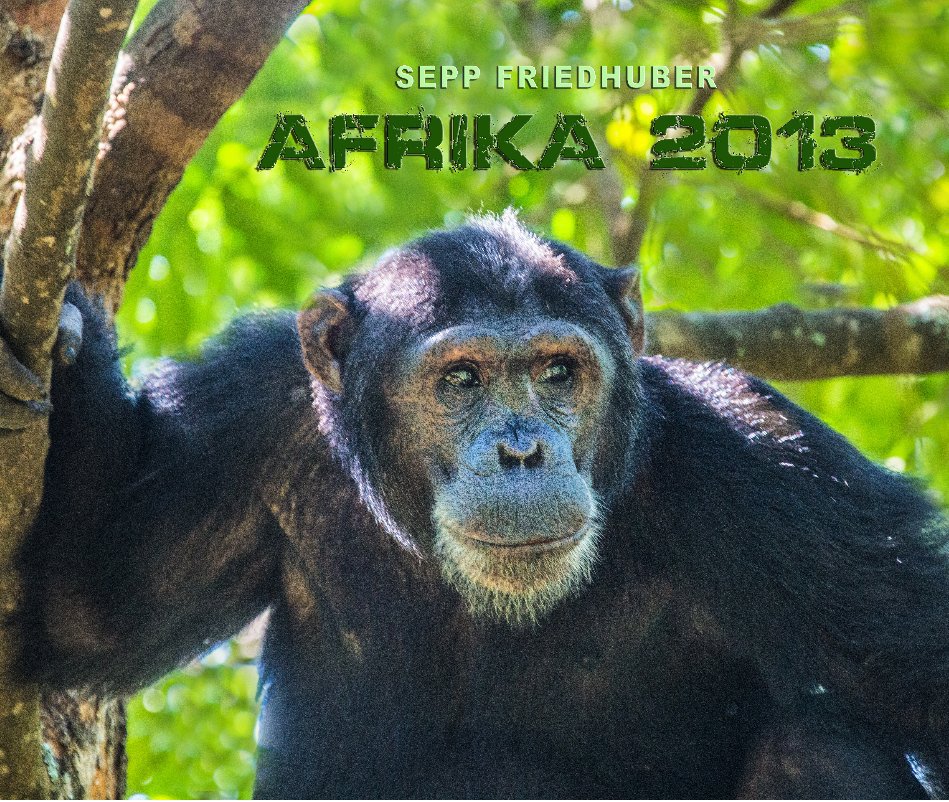 Ver Afrika 2013 por Friedhuber Sepp