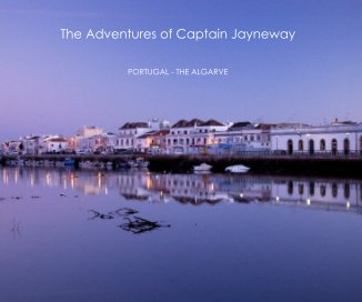 The Adventures of Captain Jayneway book cover