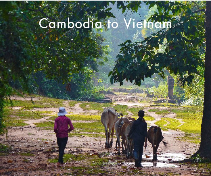 View Cambodia to Vietnam by Martyn Wood