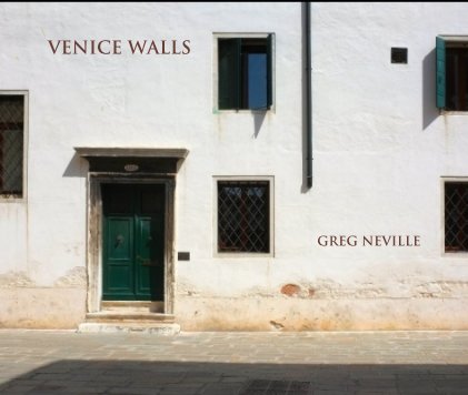 Venice Walls book cover