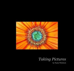 Taking Pictures book cover