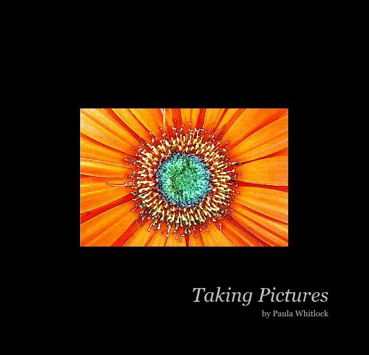 View Taking Pictures by Paula Whitlock