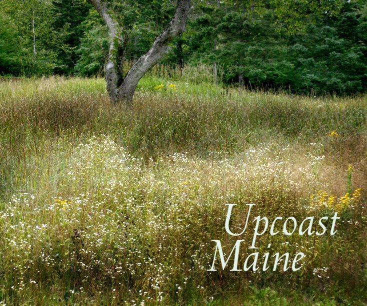View Upcoast Maine by Richard Nilsen