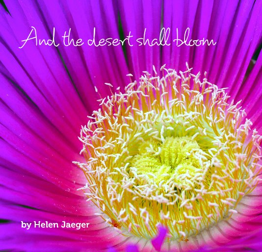 View And the desert shall bloom by Helen Jaeger