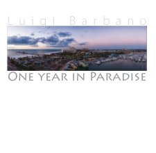 One Year in Paradise Small book cover