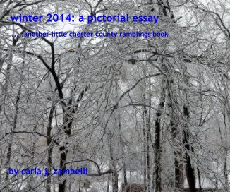 winter 2014: a pictorial essay book cover