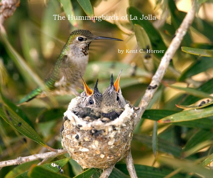 View Hummingbirds of La Jolla ~ Storyteller Edition by Kent C. Horner