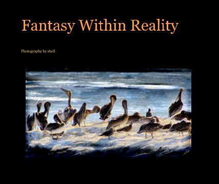 Fantasy Within Reality book cover