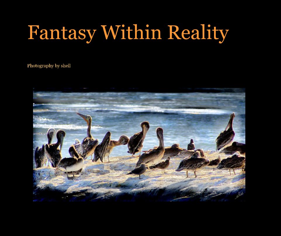 View Fantasy Within Reality by Photography by shell