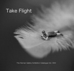 Take Flight book cover