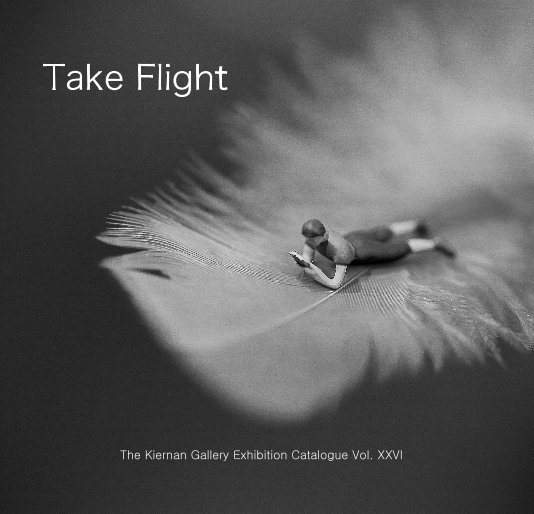Ver Take Flight por The Kiernan Gallery Exhibition Catalogue Vol. XXVI