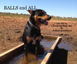 BALLS and ALL The life in a working dogs day By Tracey Broadbere book cover