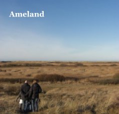 Ameland book cover