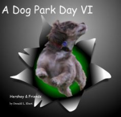 A Dog Park Day VI book cover