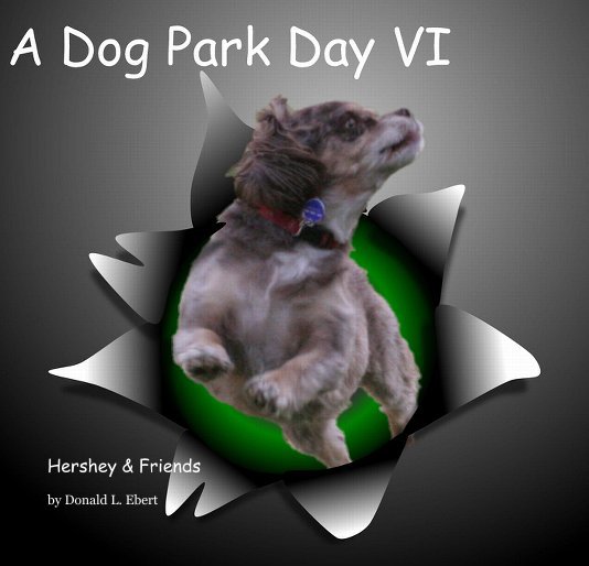 View A Dog Park Day VI by Donald L Ebert