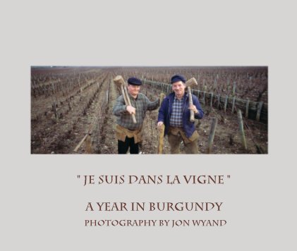" Je SUIS DANS LA VIGNE " A YEAR IN BURGUNDY book cover