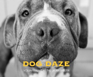 DOG DAZE book cover