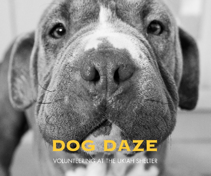 View DOG DAZE by ShelterDogs