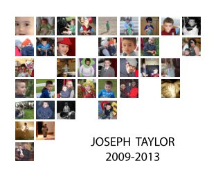 Joseph Taylor 2009 - 2013 book cover