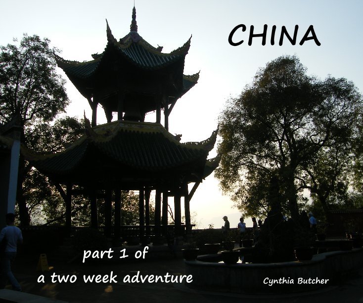 View CHINA by Cynthia Butcher