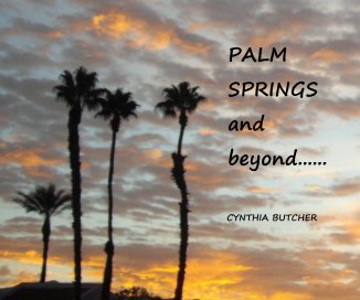 PALM SPRINGS and beyond...... book cover