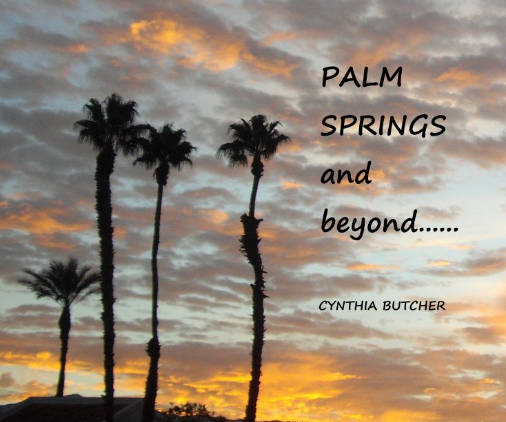 View PALM SPRINGS and beyond...... by CYNTHIA BUTCHER