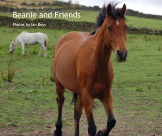 Beanie and Friends book cover