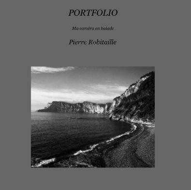 PORTFOLIO book cover