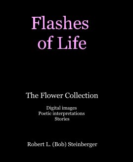 Flashes of Life book cover