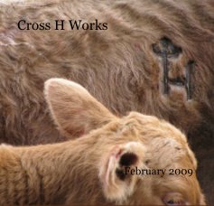 Cross H Works book cover