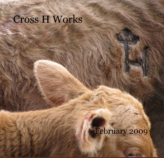 View Cross H Works by susanross