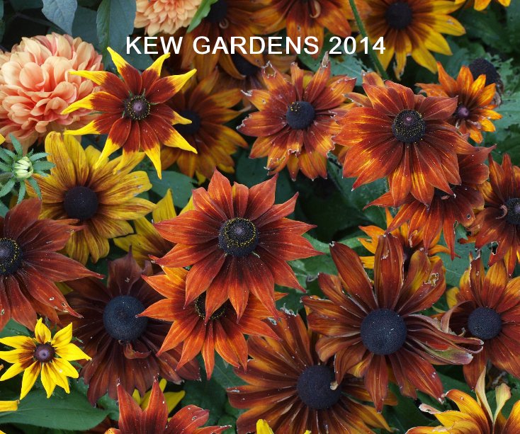 Visualizza Kew Gardens 2014 di Dennis Orme