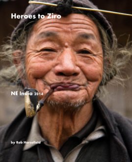 Heroes to Ziro book cover